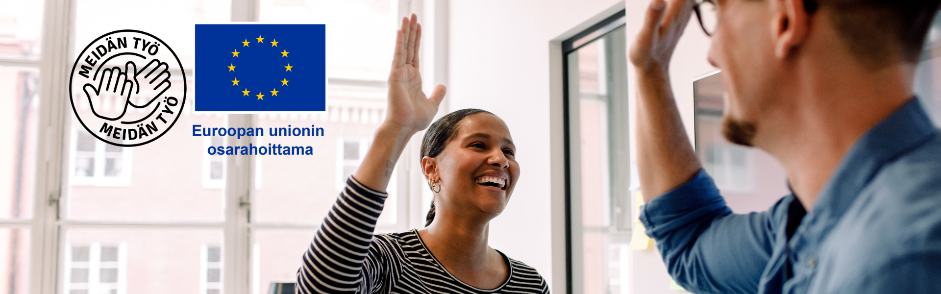 meidan tyo logo ja eu logo